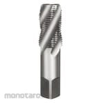 YG1 Spiral Flute Hand Tap PT Pipe HSS-EX (Tap Ulir)