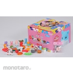 Iwaco Eraser Box 100 (100 pieces)