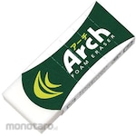 SAKURA COLOR PRODUCTS Arch Eraser 100