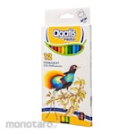 Agatis Prime Permanent Color Pencil Hexagonal