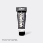 Maimeri Medium Gloss Final Varnish
