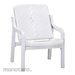Lion Star Plastic Chair (Kursi Taman)