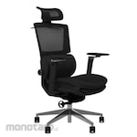 PEXIO Massage Ergonomic Chair