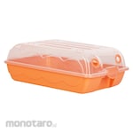 Deli Shoe Box with Open Lid-Small (Kotak Sepatu)