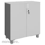 HighPoint Swing Door Cabinet with Plastic Cabinet Storio Series