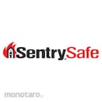 Sentry Fire Chest