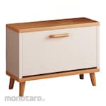 Homedoki Combination Shoe Cabinet