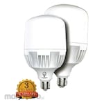 GL General Lighting Power Bulb