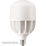 Philips TrueForce Core HB Lamp