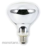 IWASAKI ELECTRIC Eyelight Diffuser For Outdoor Lighting