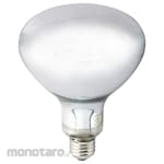 IWASAKI ELECTRIC Outdoor Floodlight Bulb Diffuse Type