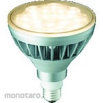 IWASAKI LED Light (Lampu Reflektor)