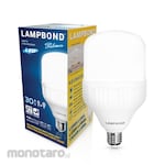 Lampbond Bohlam Palma