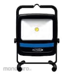 BluePoint LED Floodlight