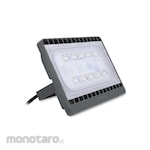 Philips SmartBright LED Floodlight