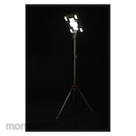 Wild Land solar led floodlight
