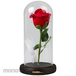 Taffhome Lampu Meja Hias