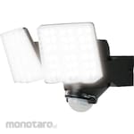 DAISHIN 2 LED Sensor Light