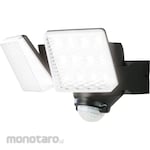 DAISHIN 2 LED Solar Sensor Light