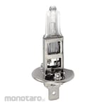 ECCO Exterior Vehicle Light Accessories