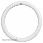 FEIT ELECTRIC Circular Light Bulb & Lamp (Lampu Pengganti)