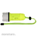 Camelion Diving Light