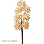 TOKYODO Chispa (dried flowers)