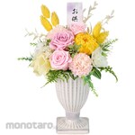 TOKYODO Kacho (flower butterfly)