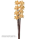 TOKYODO Pistachio flower (dried flower)