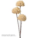 TOKYODO Sesame Flower (Dried Flower)