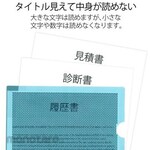 ESCO A4/310x220mm security holder blue