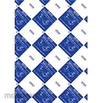 Epson Business inkjet plain paper/A4/500 sheets