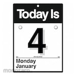AT-A-GLANCE Wall Calendar Daily