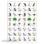 Okina Palio Seal Bird Seal
