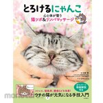 Nagaoka Shoten Melting Kitty: Cat Acupressure &amp; Lymphatic Massage for Mind and Body Wellness
