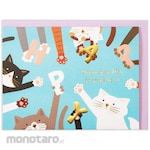 Hallmark Japan Birthday Card: Cute Animal Cat II