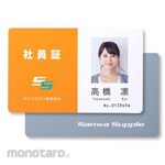 ESCO Inkjet paper for business cards, 10 sheets