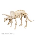 Deli Kids Education Dinosaur Theme