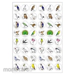 Okina Palio Seal Bird Seal