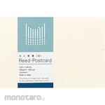 KOKUYO Kertas Postcard Reeden