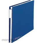 Lion Office Products Data file