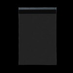 Just Corp. Double-sided Transparent Envelope