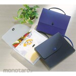 Lion Office Products Design case