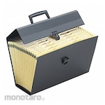 Non Brand Expandable Organizer