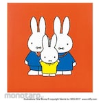 Nakabayashi Fuel Album Kodomo Dick Bruna S