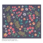 Nakabayashi Square album envelope