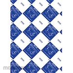 Epson Business inkjet plain paper/A4/500 sheets