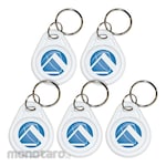 Pyramid Time Clock Fob