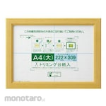 ESCO Award amount