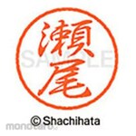 Shachihata Black 8+ Ready-made (S)